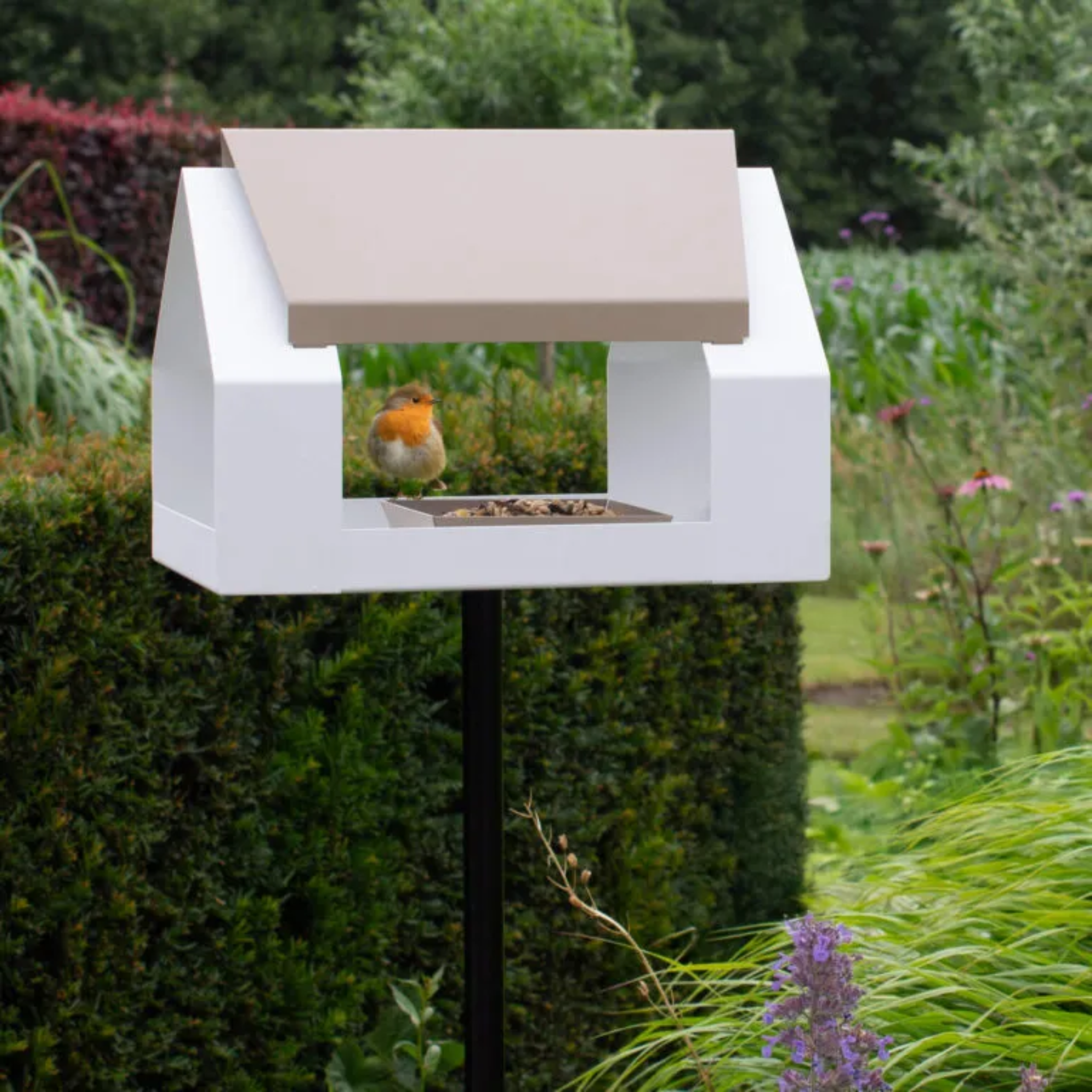 Heeej the Barn vogelhuis wit-zand met roodborstje